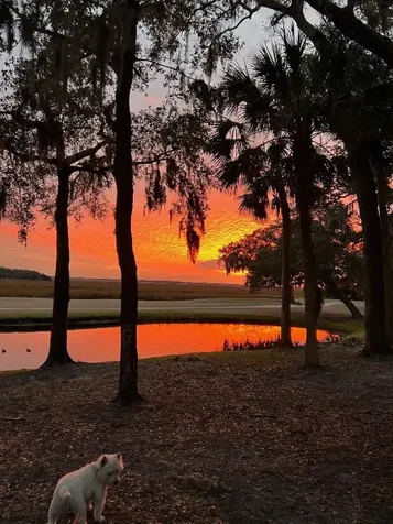 3051 Sea Marsh Road Fernandina Beach FL 32034