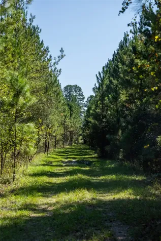 0 Us Highway 301 Callahan FL 32011