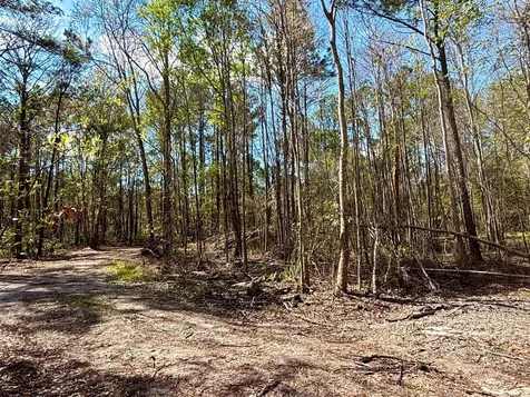 37125 Anna Marie Lane Hilliard FL 32046