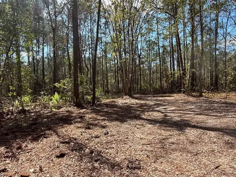 37125 Anna Marie Lane Hilliard FL 32046