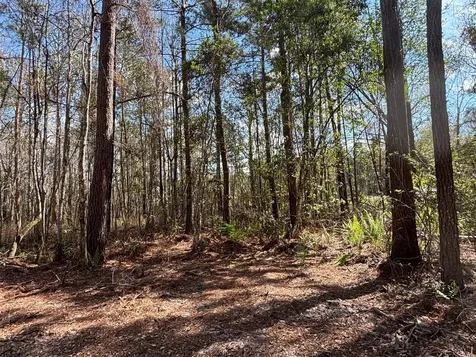 37125 Anna Marie Lane Hilliard FL 32046