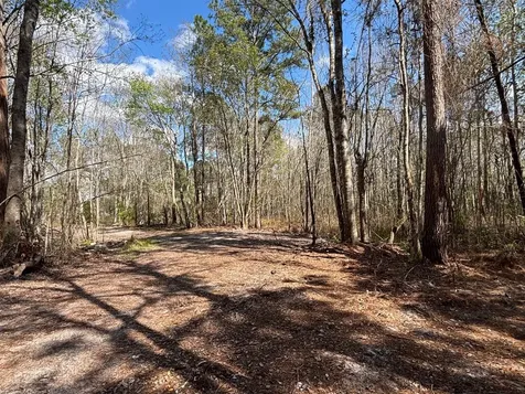 37125 Anna Marie Lane Hilliard FL 32046