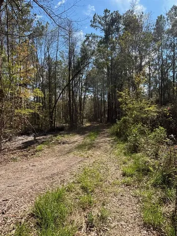37125 Anna Marie Lane Hilliard FL 32046
