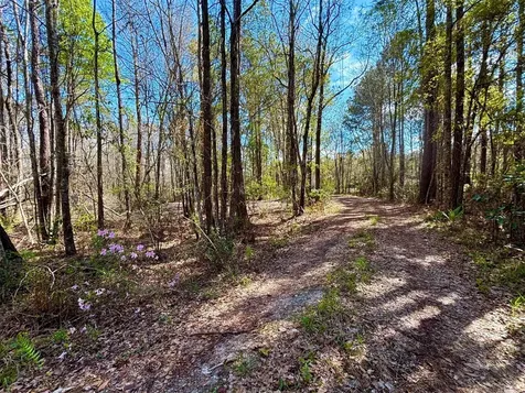 37125 Anna Marie Lane Hilliard FL 32046