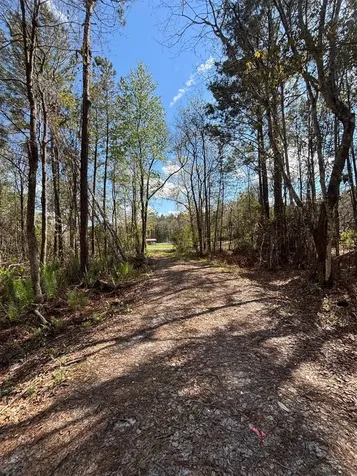 37125 Anna Marie Lane Hilliard FL 32046