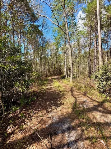 37125 Anna Marie Lane Hilliard FL 32046