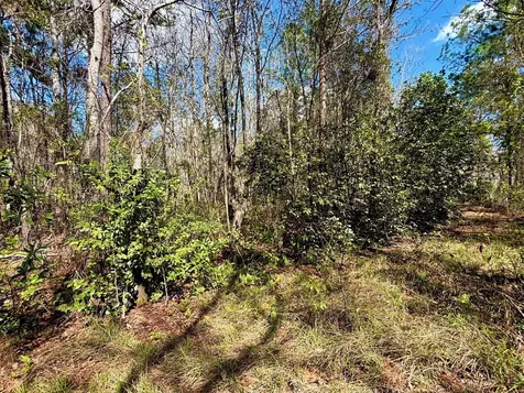 37125 Anna Marie Lane Hilliard FL 32046