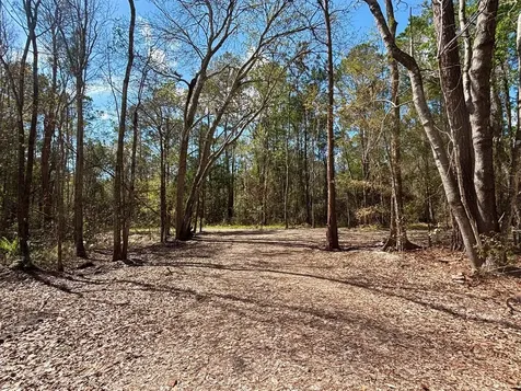 37125 Anna Marie Lane Hilliard FL 32046