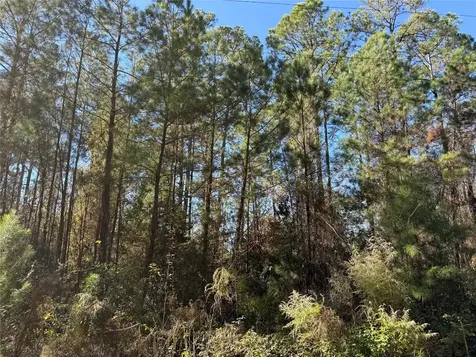 0 Do Hi Way Hilliard FL 32046