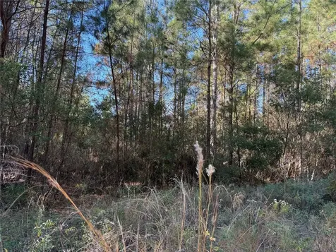 0 Do Hi Way Hilliard FL 32046