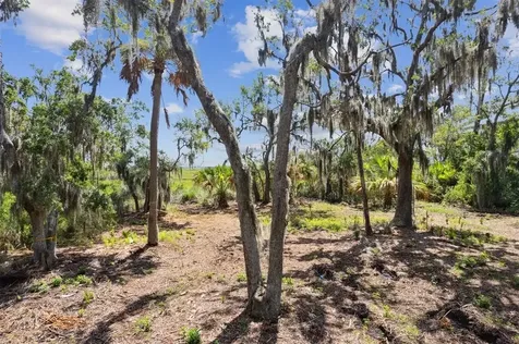 96524 Soap Creek Drive Fernandina Beach FL 32034