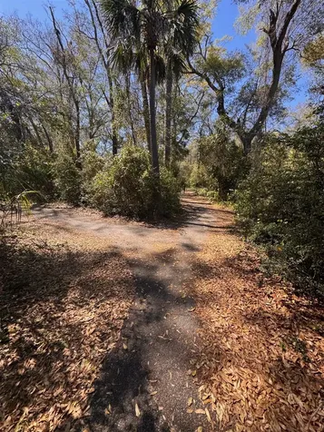 95101 Dwight Drive Fernandina Beach FL 32034