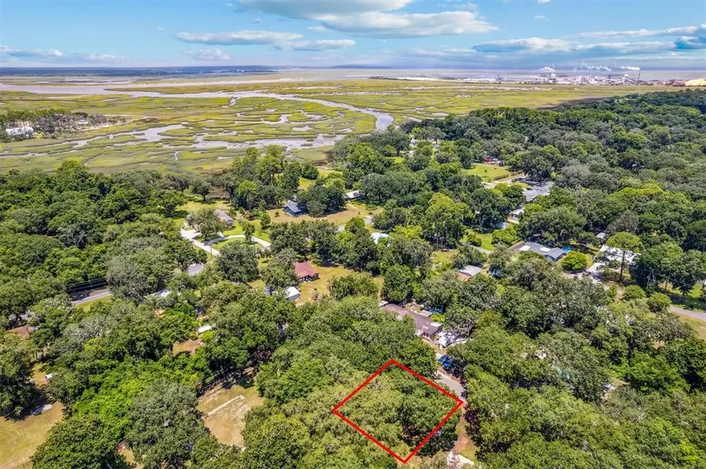 738 Wax Wing Lane Fernandina Beach FL 32034
