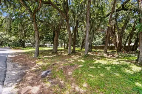 738 Wax Wing Lane Fernandina Beach FL 32034