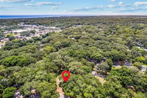 738 Wax Wing Lane Fernandina Beach FL 32034