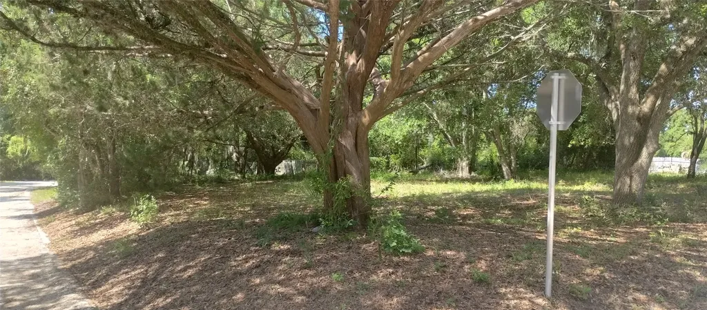 Lot 1 & 2 Someruelus Street Fernandina Beach FL 32034