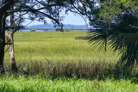 6 Crane Island Drive Fernandina Beach FL 32034