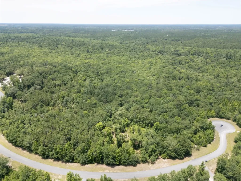 15457 Bullock Bluff Road Bryceville FL 32009