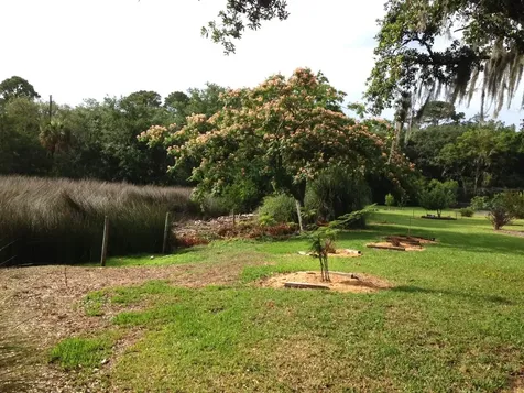 95 W Lawrence Lane Fernandina Beach FL 32034