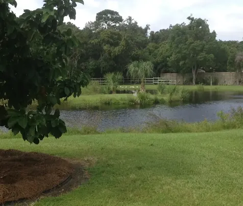 95 W Lawrence Lane Fernandina Beach FL 32034