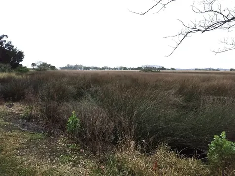95 W Lawrence Lane Fernandina Beach FL 32034