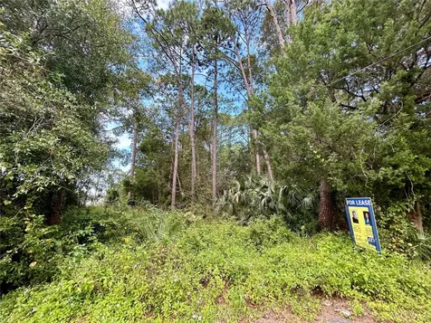 0 Goodbread Road Yulee FL 32097