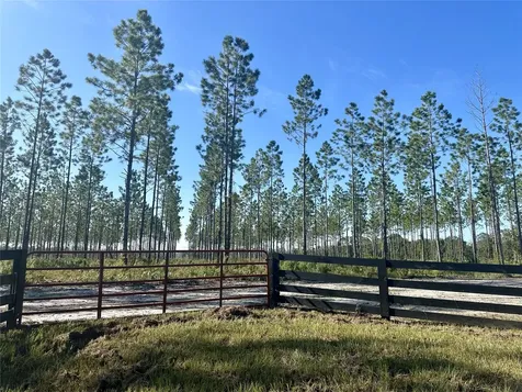 Lot 15 Andrews Road Hilliard FL 32046