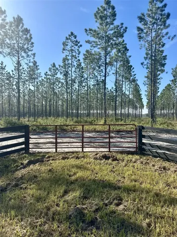Lot 15 Andrews Road Hilliard FL 32046