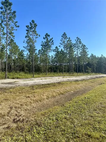 Lot 15 Andrews Road Hilliard FL 32046
