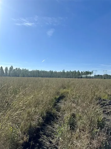 Lot 15 Andrews Road Hilliard FL 32046