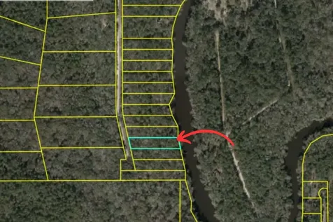 Lot 4 NE Madison Bluffs Way Lee FL 32058