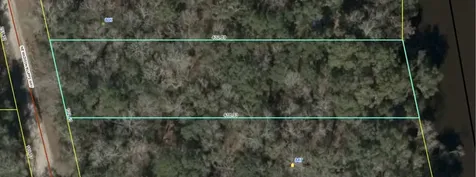 Lot 4 NE Madison Bluffs Way Lee FL 32058