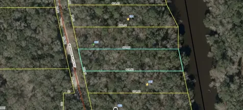 Lot 4 NE Madison Bluffs Way Lee FL 32058
