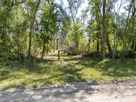 Lot 4 NE Madison Bluffs Way Lee FL 32058