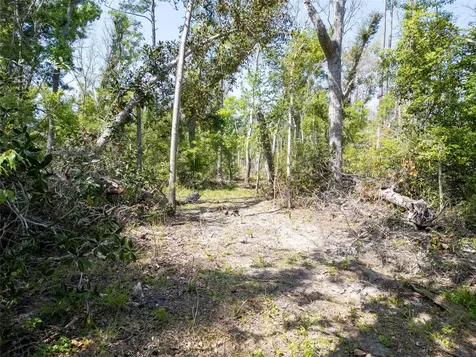 Lot 4 NE Madison Bluffs Way Lee FL 32058