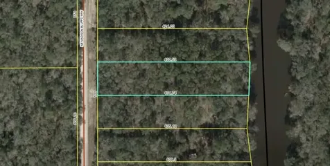 Lot 12 NE Madison Bluffs Way Lee FL 32058