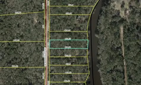 Lot 12 NE Madison Bluffs Way Lee FL 32058