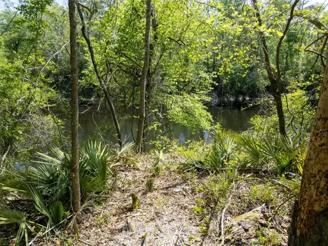 Lot 12 NE Madison Bluffs Way Lee FL 32058