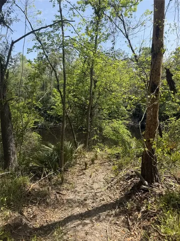 Lot 12 NE Madison Bluffs Way Lee FL 32058