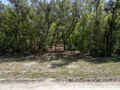 Lot 12 NE Madison Bluffs Way Lee FL 32058