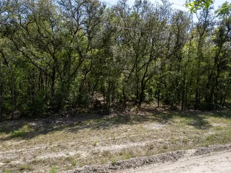 Lot 12 NE Madison Bluffs Way Lee FL 32058