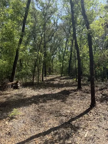 Lot 12 NE Madison Bluffs Way Lee FL 32058