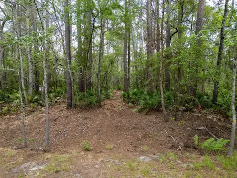 SE 67th Place White Springs FL 32096