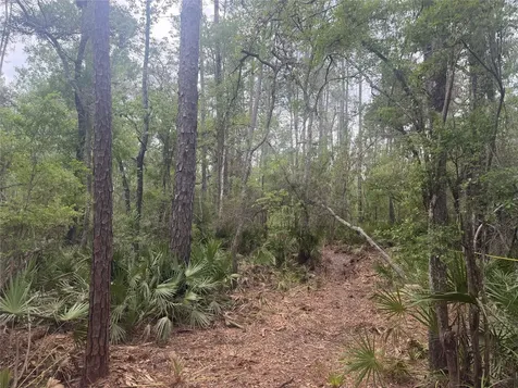 SE 67th Place White Springs FL 32096