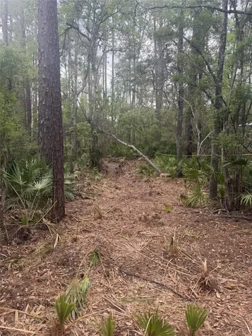SE 67th Place White Springs FL 32096