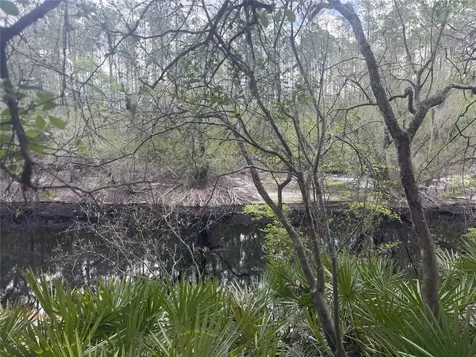 SE 67th Place White Springs FL 32096