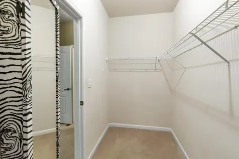 2339 Caney Oaks Drive Jacksonville FL 32218