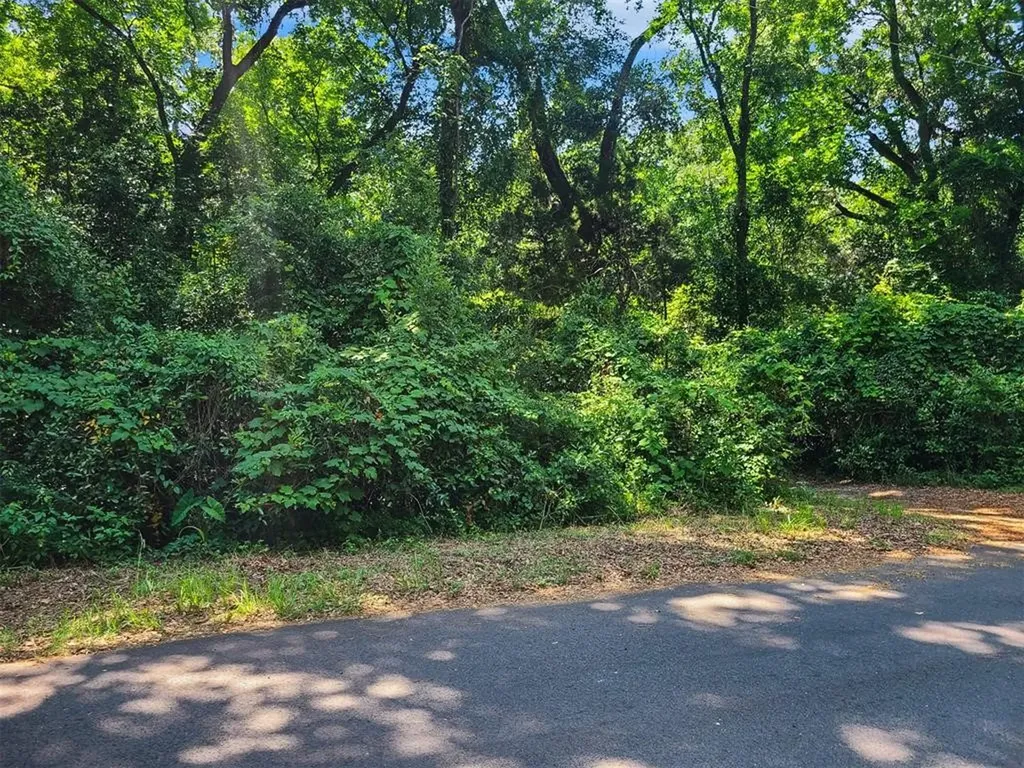Amelia Circle Fernandina Beach FL 32034