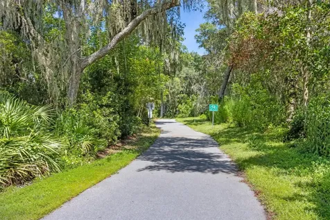 96135 Hanging Moss Drive Amelia Island FL 32034