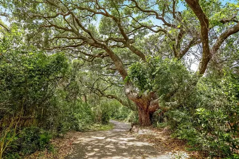 96135 Hanging Moss Drive Amelia Island FL 32034